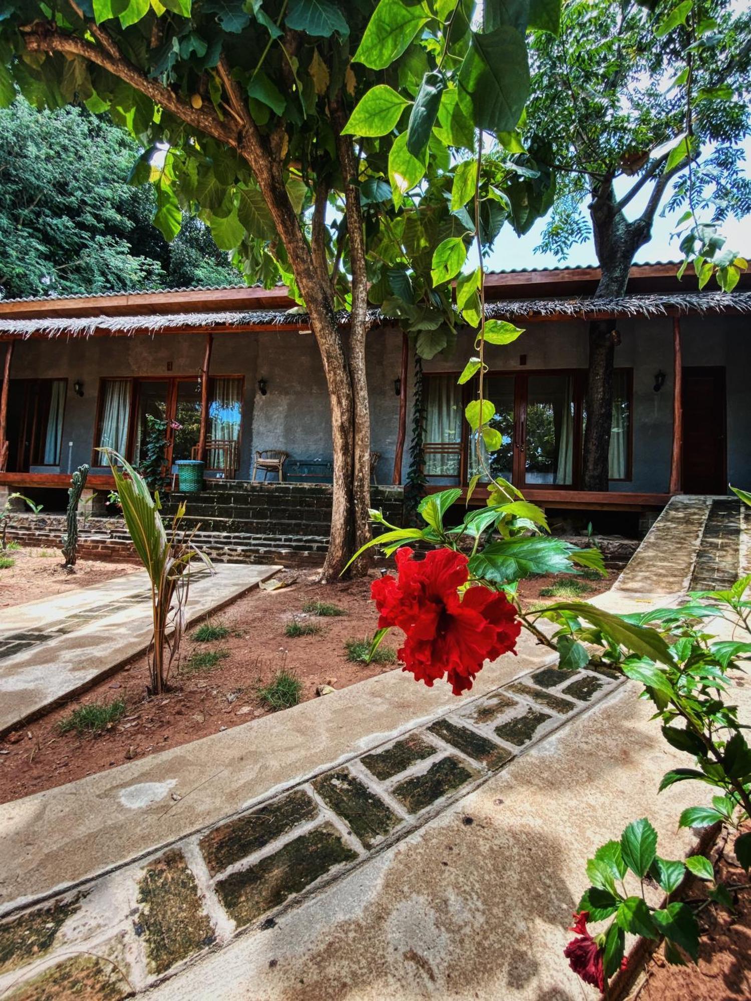 Basa-Basi Lodge Ilhas Karimunjava Exterior foto