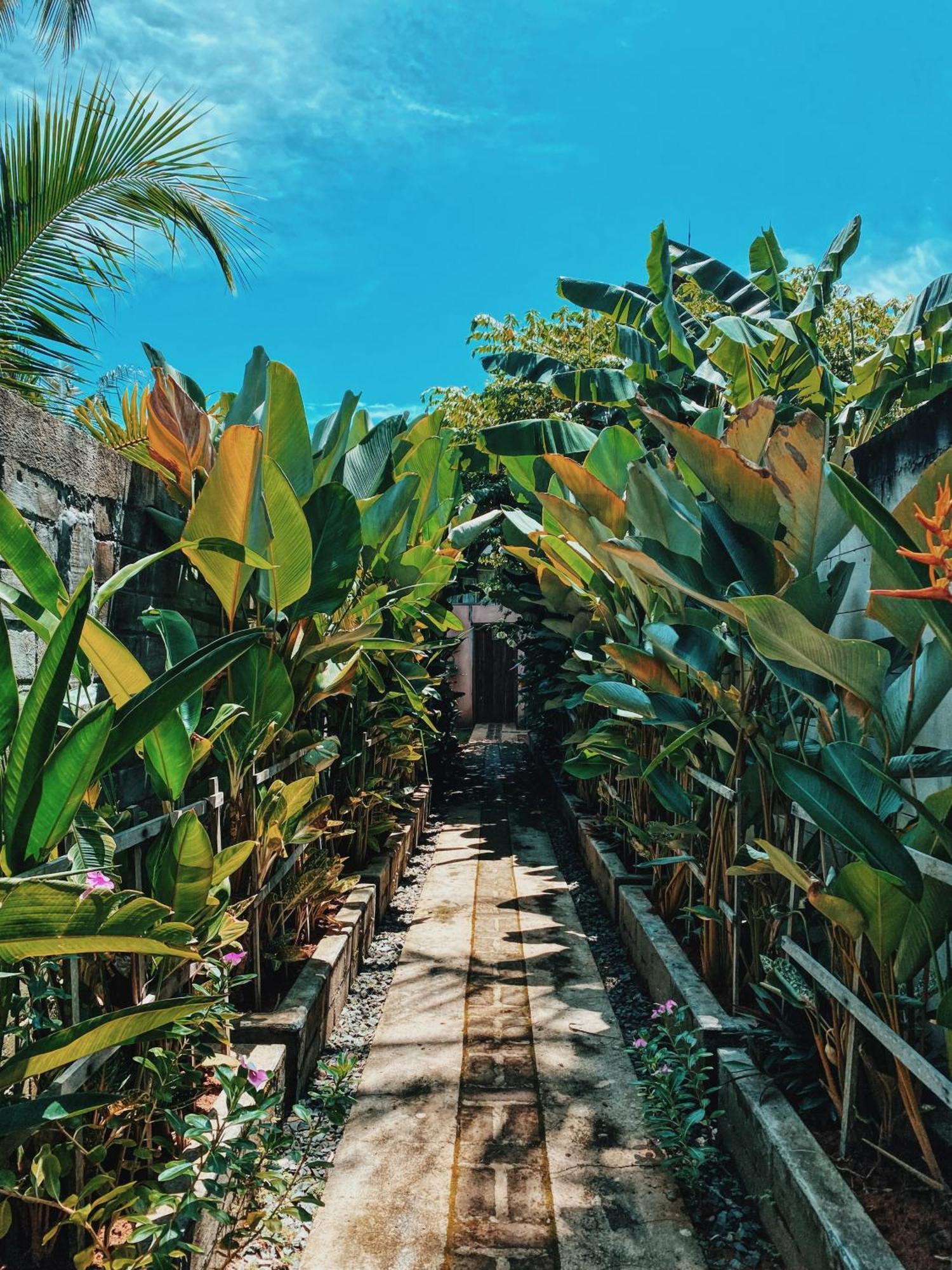 Basa-Basi Lodge Ilhas Karimunjava Exterior foto