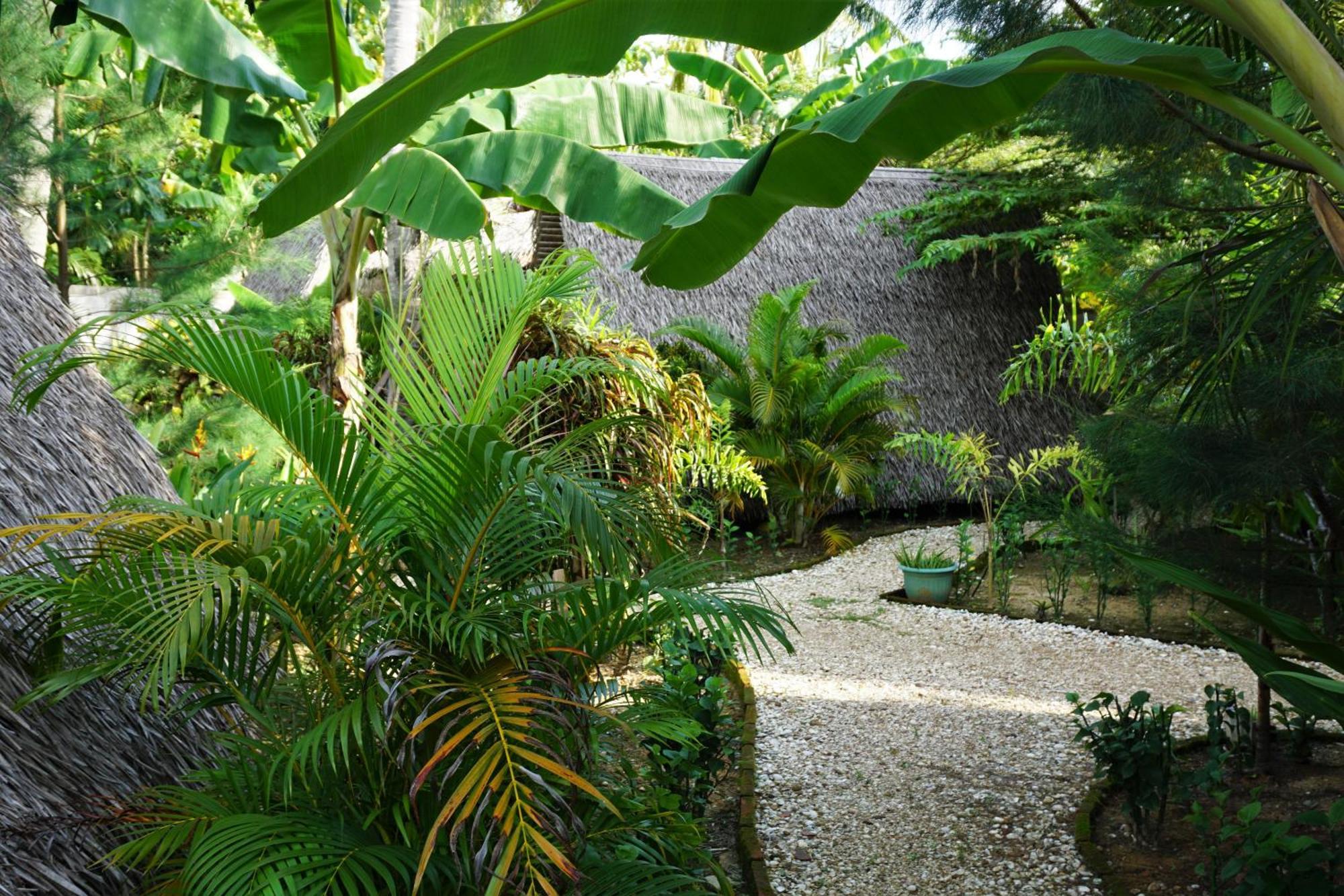 Basa-Basi Lodge Ilhas Karimunjava Exterior foto